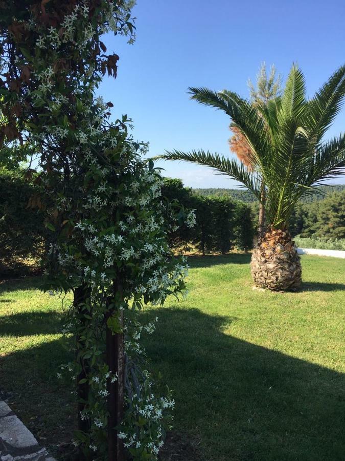 3 Bedroom Villa In Elani Villas Chalkidiki Siviri Exteriér fotografie